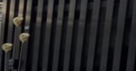 推介: Umbra