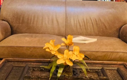 推介: 2nd Chance furniture store 二手掂