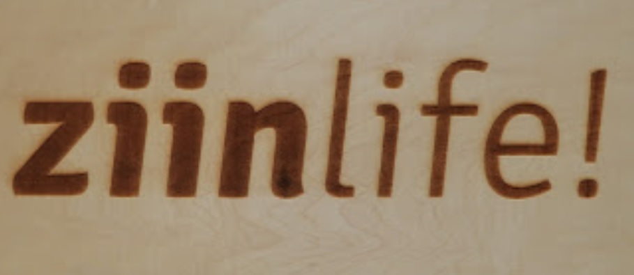 推介: Ziinlife Modern Furniture