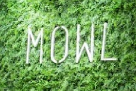 推介: Mowl Furniture & Houseware